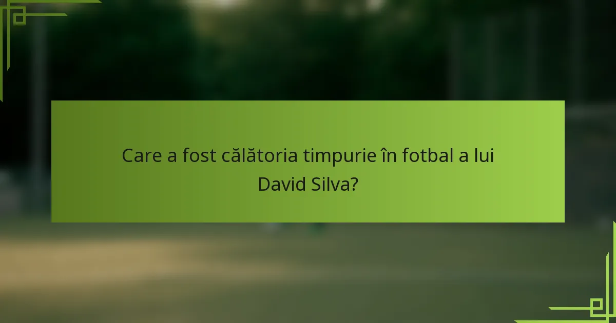 Care a fost călătoria timpurie în fotbal a lui David Silva?