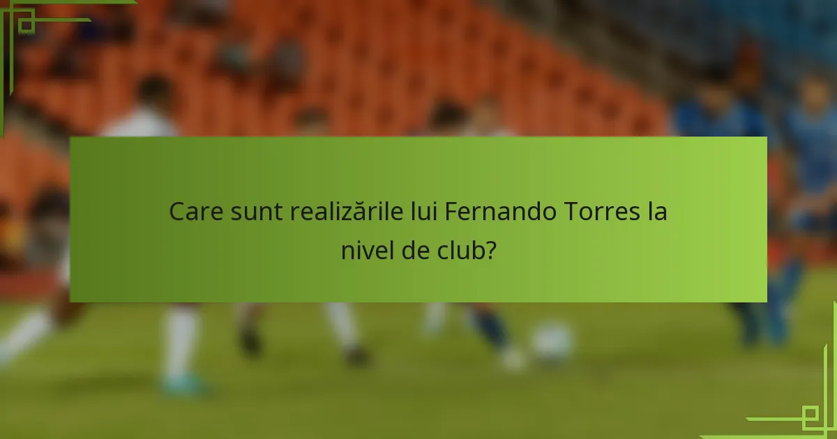 Care sunt realizările lui Fernando Torres la nivel de club?