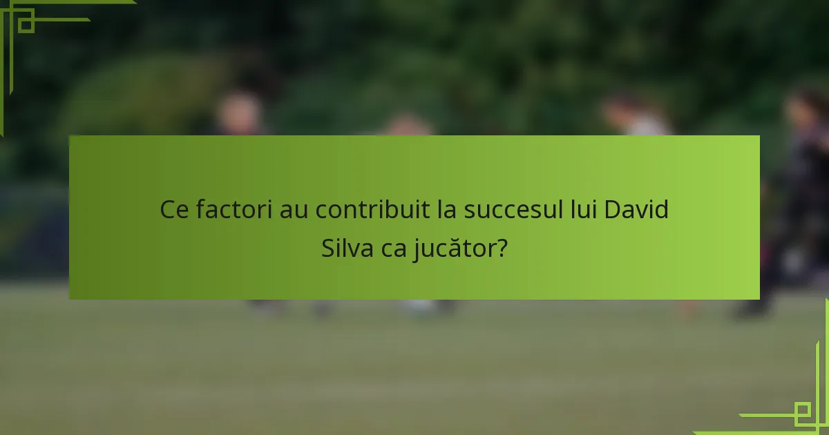 Ce factori au contribuit la succesul lui David Silva ca jucător?