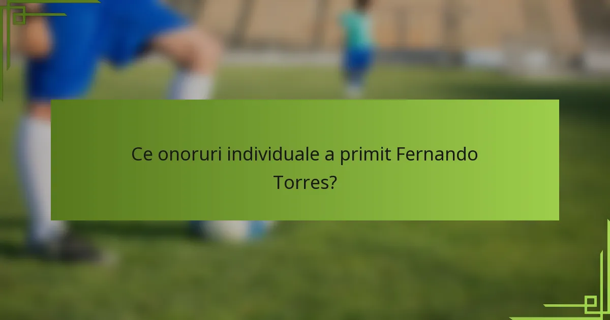 Ce onoruri individuale a primit Fernando Torres?