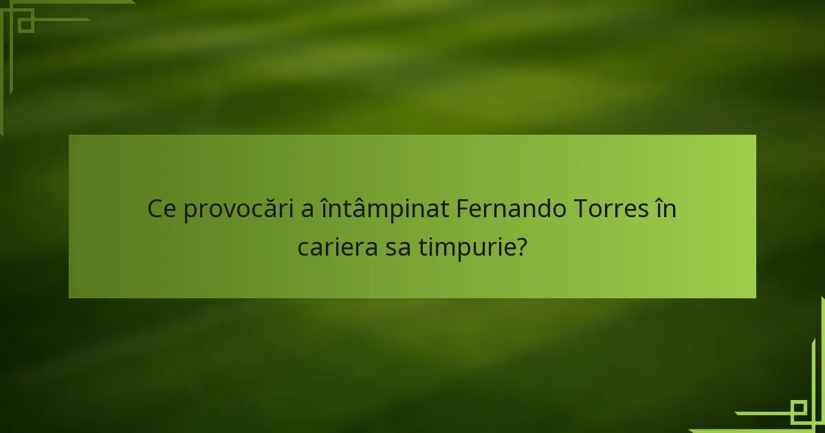 Ce provocări a întâmpinat Fernando Torres în cariera sa timpurie?