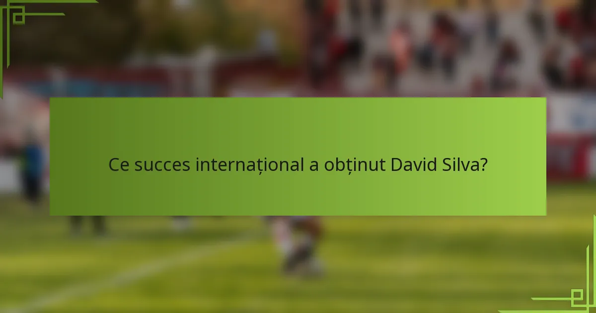 Ce succes internațional a obținut David Silva?