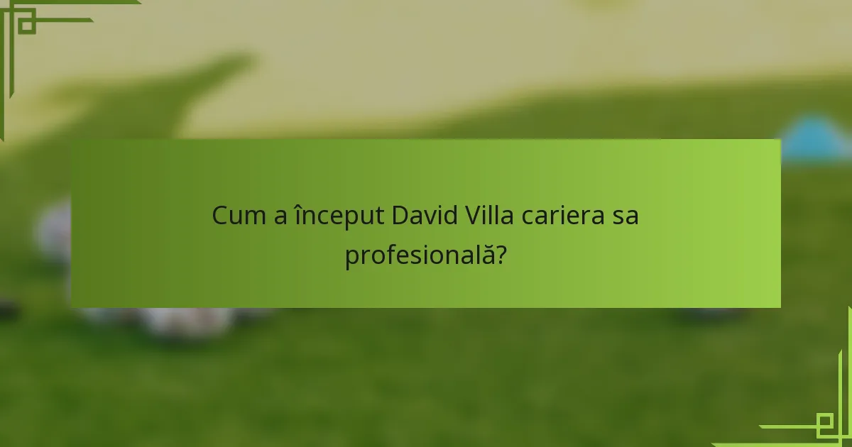 Cum a început David Villa cariera sa profesională?