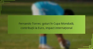 Fernando Torres: goluri în Cupa Mondială, contribuții la Euro, impact internațional